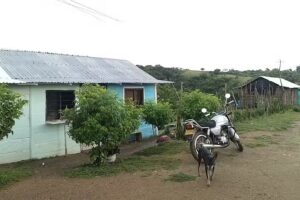 Hospedaje el mochuelo