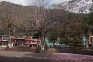 Hospedaje El Nuevo Dorado