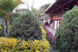 Hospedaje El Terminal