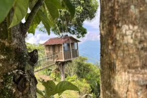 Hospedaje finca Villa Carolina