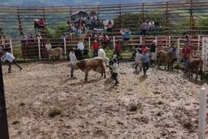 Hospedaje La Conquista