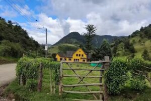 Hospedaje La Petunia