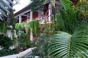 Hospedaje Las Palmeras Capurgana