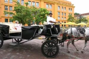 HOSPEDAJE LOS CARRUAJES S.A.S