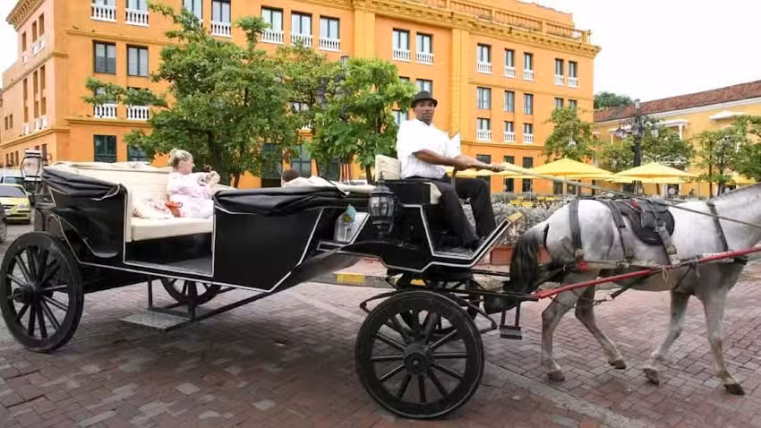 HOSPEDAJE LOS CARRUAJES S.A.S