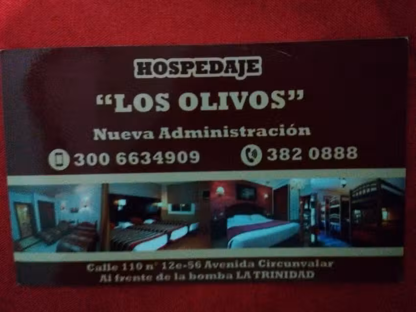 Hospedaje Los Olivos