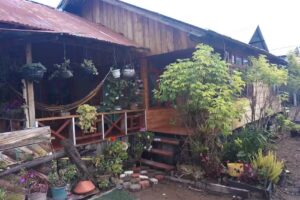 Hospedaje Los Sauces