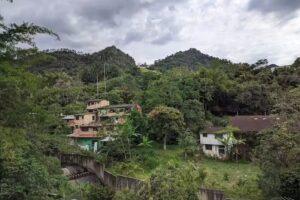 Hospedaje Manuel Fierro