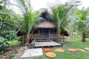 Hospedaje SELVA DE AVES