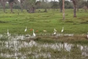 Hospedaje Sol y Sombra