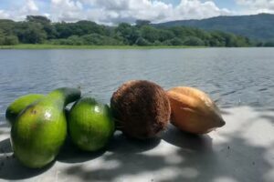 Hospedaje Tranquilandia