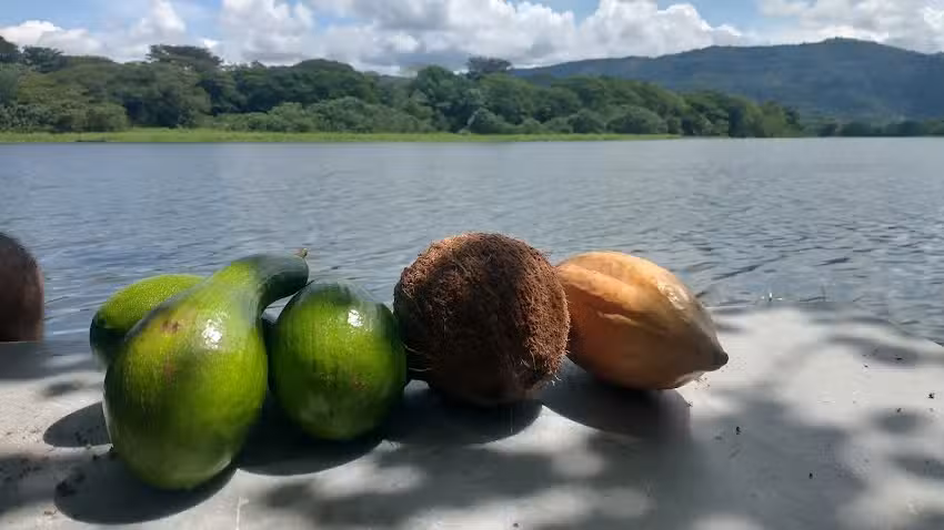 Hospedaje Tranquilandia