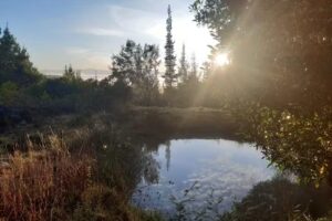 Hospedaje Villa de los Ángeles