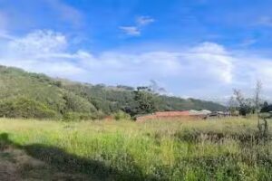 Hospedaje y Camping del Rio