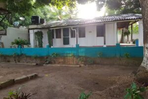 Hostal Alma de Mango