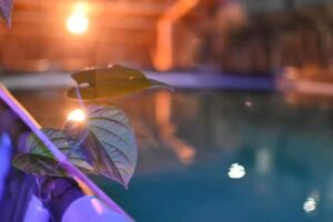 Hostal Aventura Tayrona