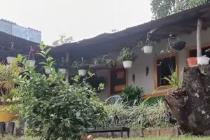 Hostal Balcones de Cocora