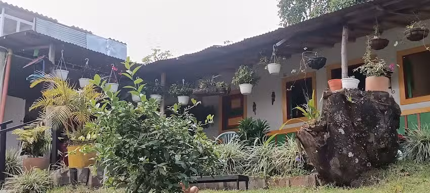 Hostal Balcones de Cocora