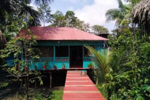 Hostal B&uacute;ho Amazonas tours