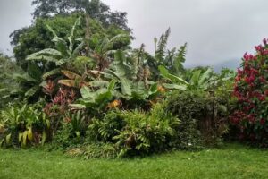 Hostal Campestre Viento Rico