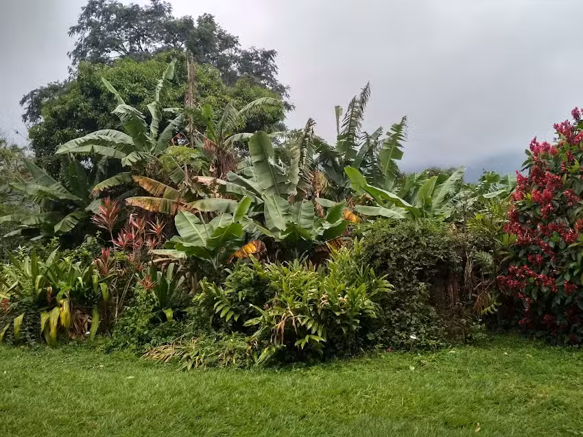 Hostal Campestre Viento Rico