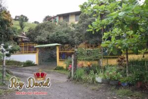 Hostal del Rey David