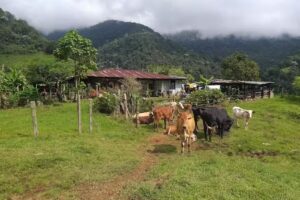 Hostal ecotur&iacute;stico El Tesoro