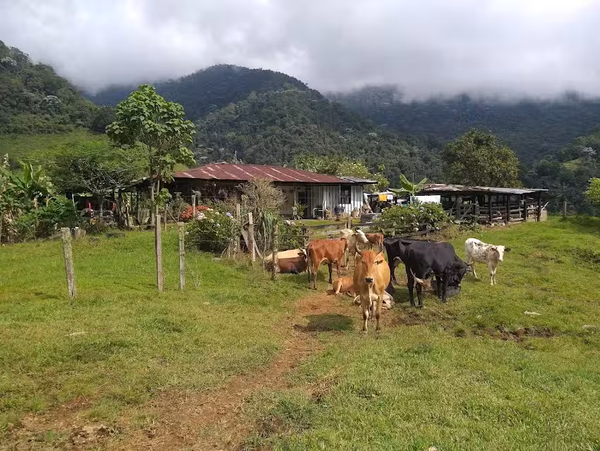 Hostal ecotur&iacute;stico El Tesoro
