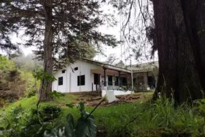 Hostal el Molino Francisco Jos&eacute; de Caldas