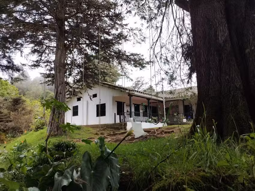 Hostal el Molino Francisco Jos&eacute; de Caldas