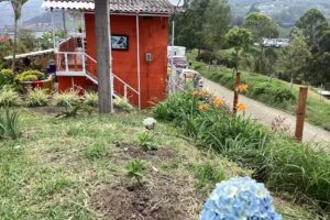 HOSTAL LAS HAMACAS ALTA