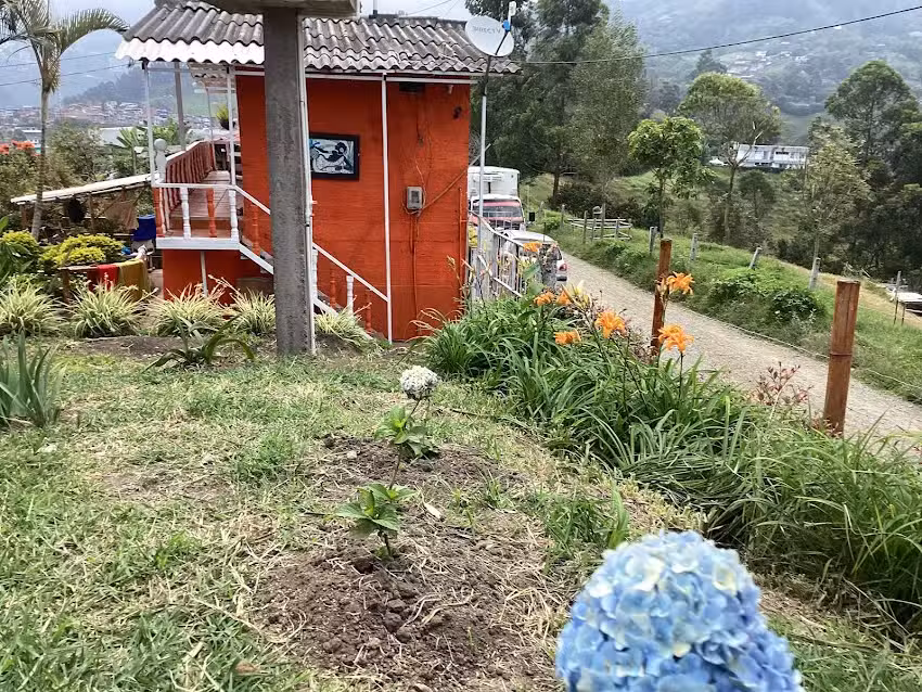 HOSTAL LAS HAMACAS ALTA