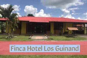 Hostal los Guinand