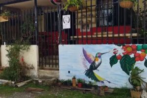 Hostal Mirador Terracota