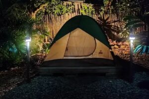 Hostal Palomino EcoHouse & Camping