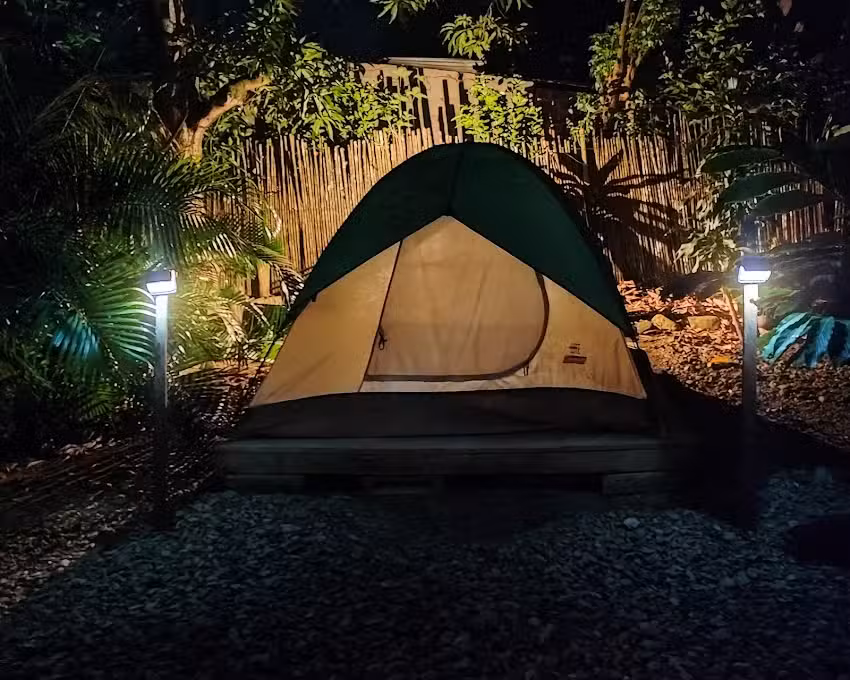 Hostal Palomino EcoHouse & Camping