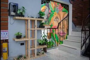 Hostal Pura Vida La 70