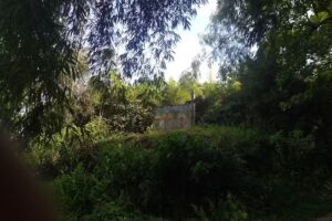 Hostal Rural El Regalo