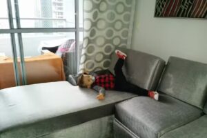 Hostal San Lorenzo de Ana