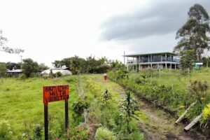 hostal villa leticia