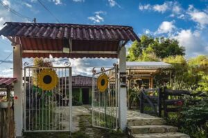 Hostal y Camping Girasoles