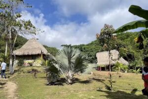 Hostal Zirumake dentro del Parque Tayrona