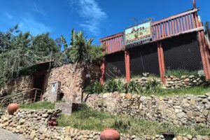 Hostel Arte Sin Fronteras