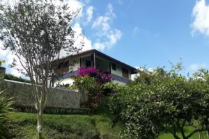 Hoster&iacute;a Caracol&iacute;