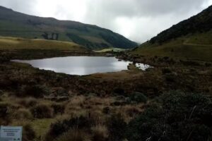 Hoster&iacute;a Cumanday