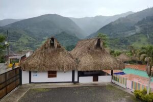 Hoster&iacute;a Heliconia