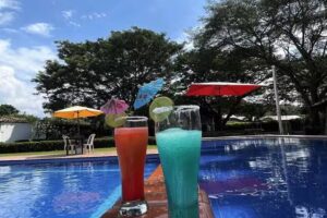 Hoster&iacute;a Mirador Del Sol