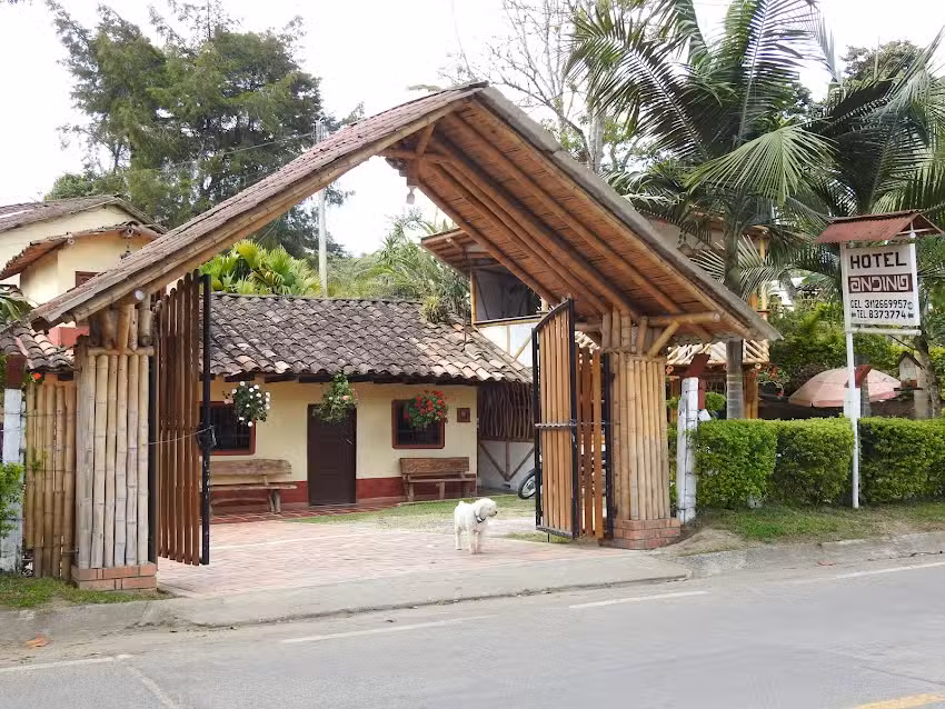 Hotel Andino