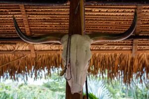 Hotel Arizona Agroturismo