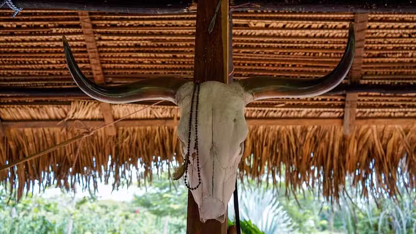 Hotel Arizona Agroturismo